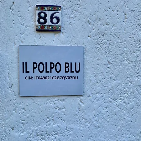 Holiday home Il Polpo Blu