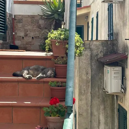 Il Polpo Blu Rio nell'Elba