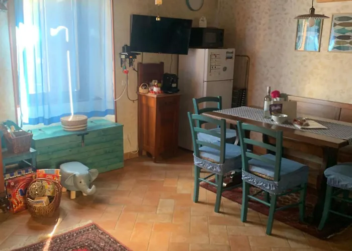 Il Polpo Blu Rio dellʼElba